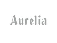 aurelia concept store cdmx